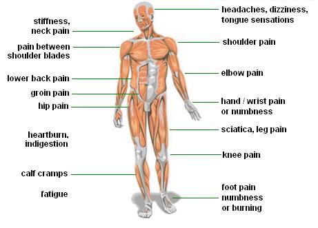 BodyStressImage